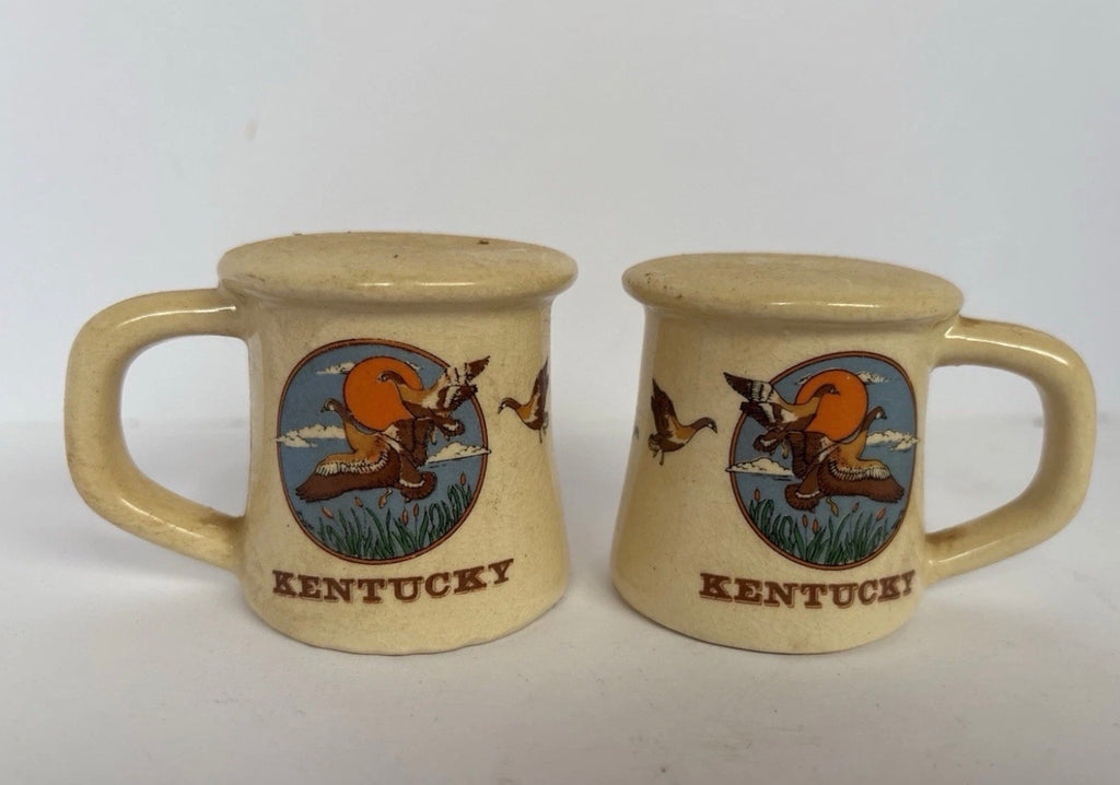 Vtg North Carolina Souvenir Ceramic Salt Pepper Shakers w/Handles - Geese P198